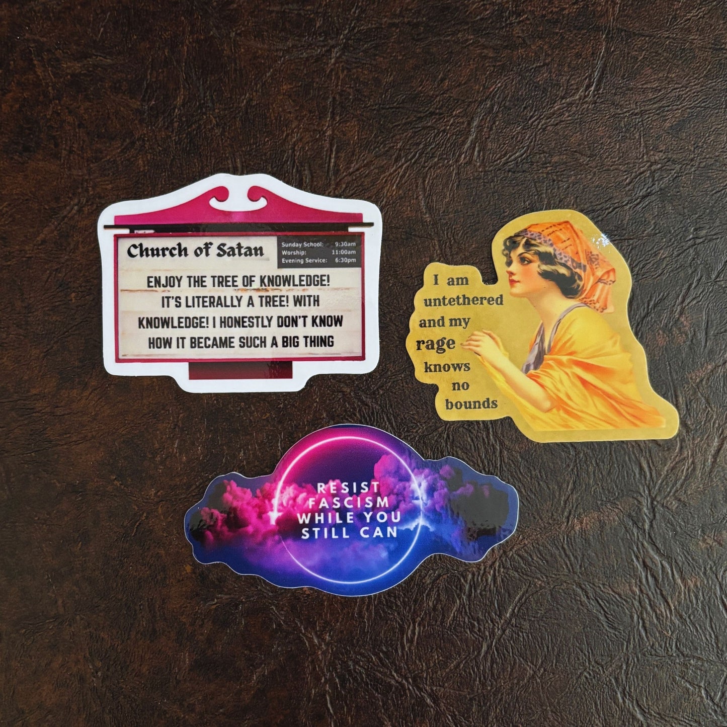 Resist Fascism While You Can Vinyl Die Cut Sticker | Galaxy Print Political Protest Decal | Laptop Water Bottle Activist Sticker