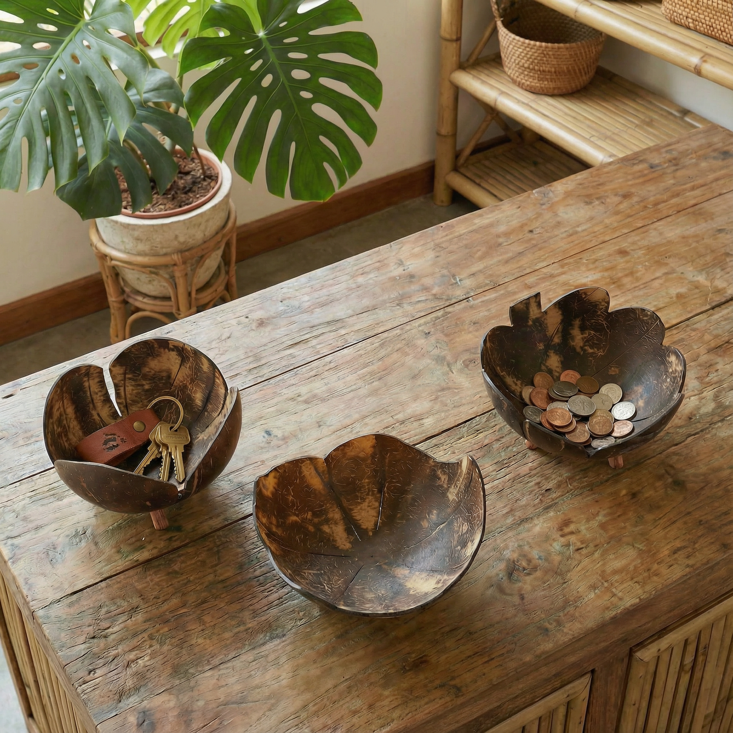 Coconut Bowls in Set of 3 | Decorative Boho Rustic Footed Bowls