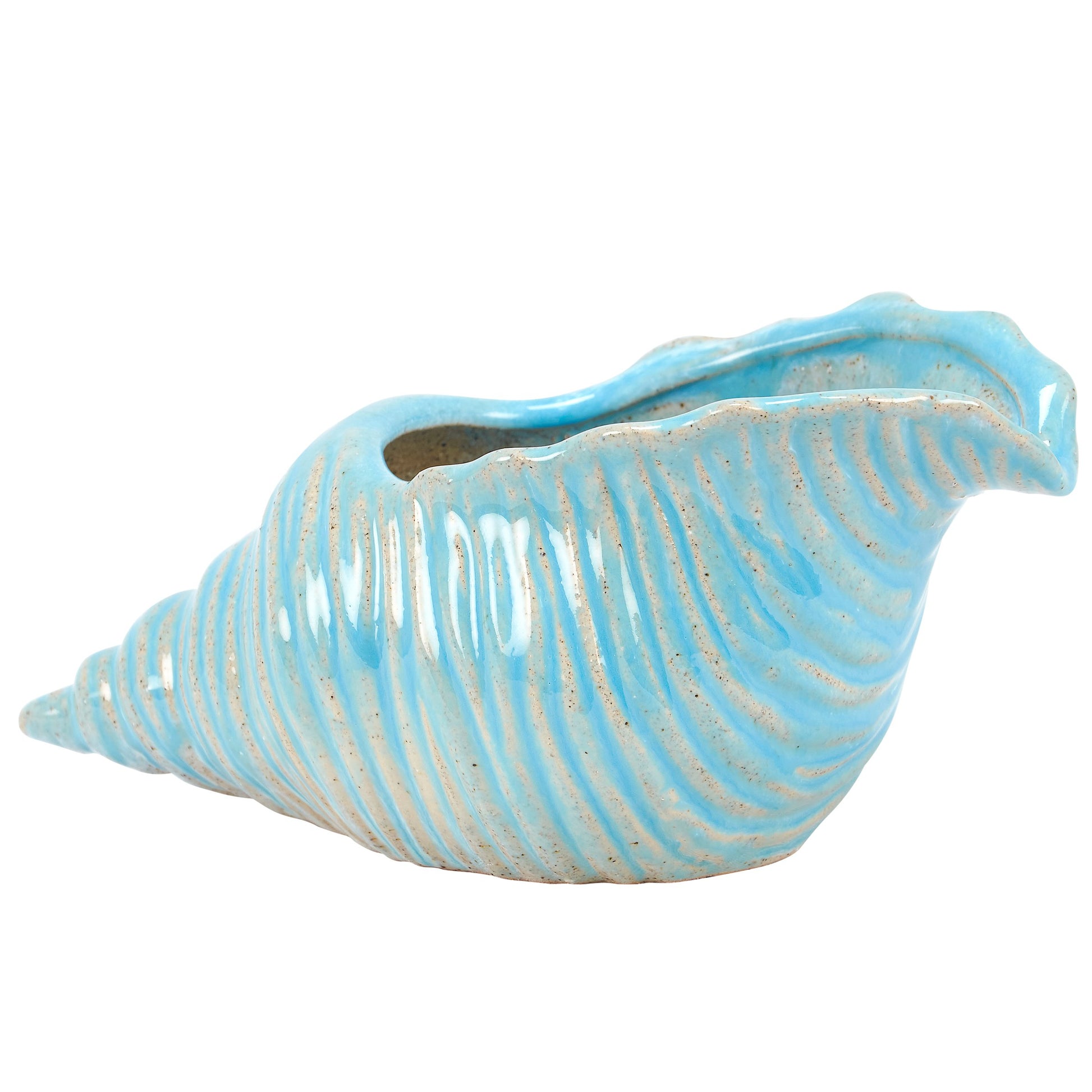 Blue shell-shaped ceramic planter on a white background