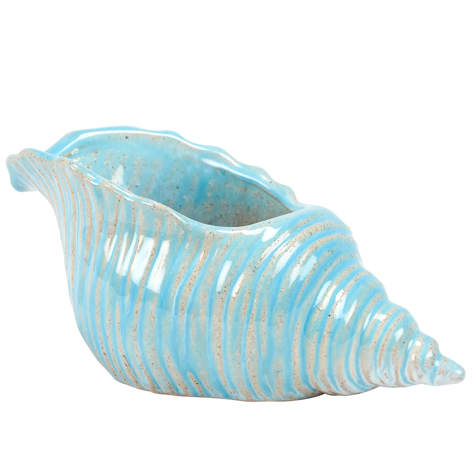 Blue ceramic shell-shaped pot on a white background