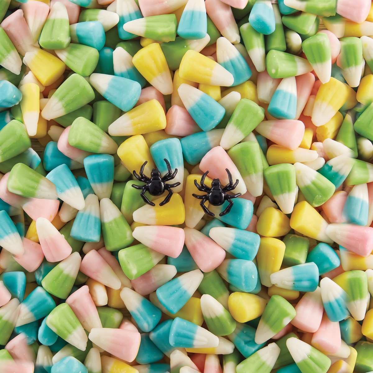 DEAL OF THE DAY: Too Cute to Spook Spider Earrings | Black Studs for Halloween, Spooky, Goth-Slant-The Bullish Store