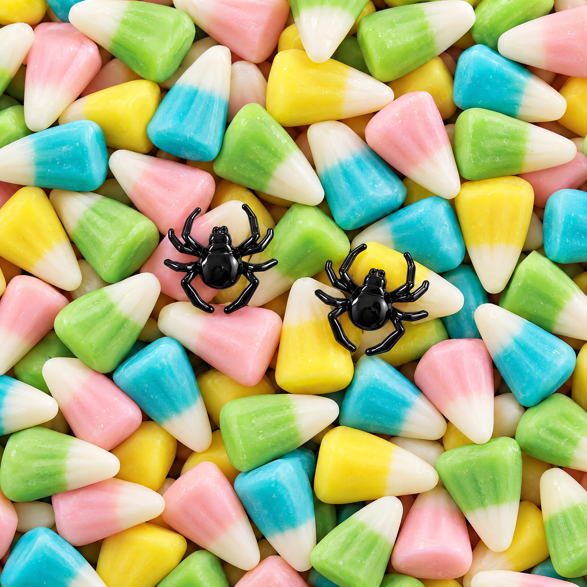 DEAL OF THE DAY: Too Cute to Spook Spider Earrings | Black Studs for Halloween, Spooky, Goth-Slant-The Bullish Store