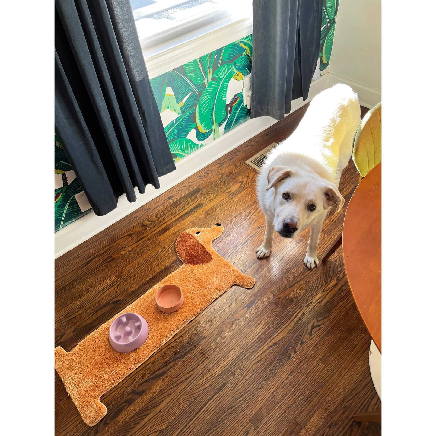 Dachshund Design Polyester Door | Long Dog Rug with Slip-resistant Backing