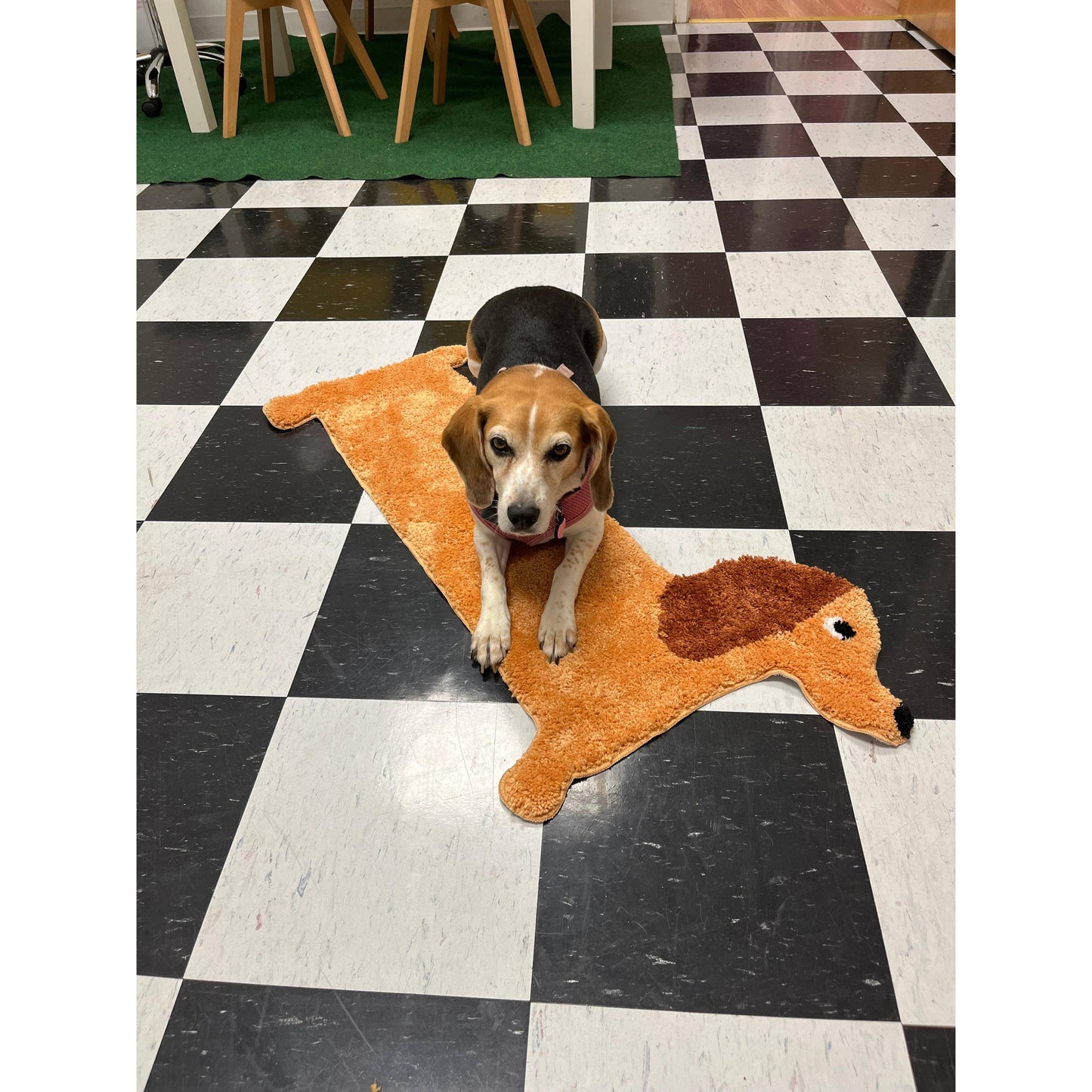 Dachshund Design Polyester Door | Long Dog Rug with Slip-resistant Backing