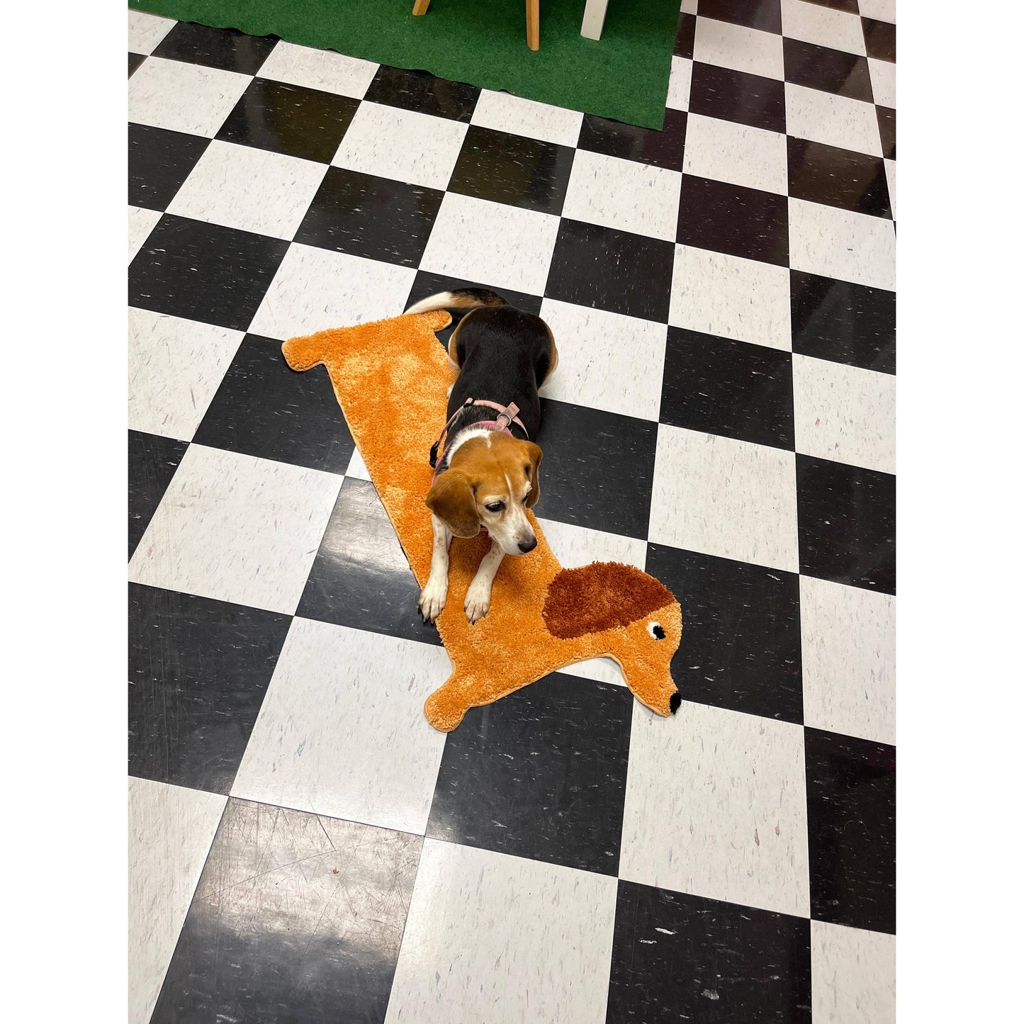 Dachshund Design Polyester Door | Long Dog Rug with Slip-resistant Backing