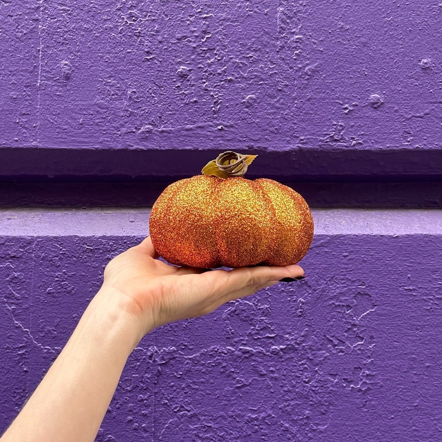 Hand holding a small pumpkin against a purple wall