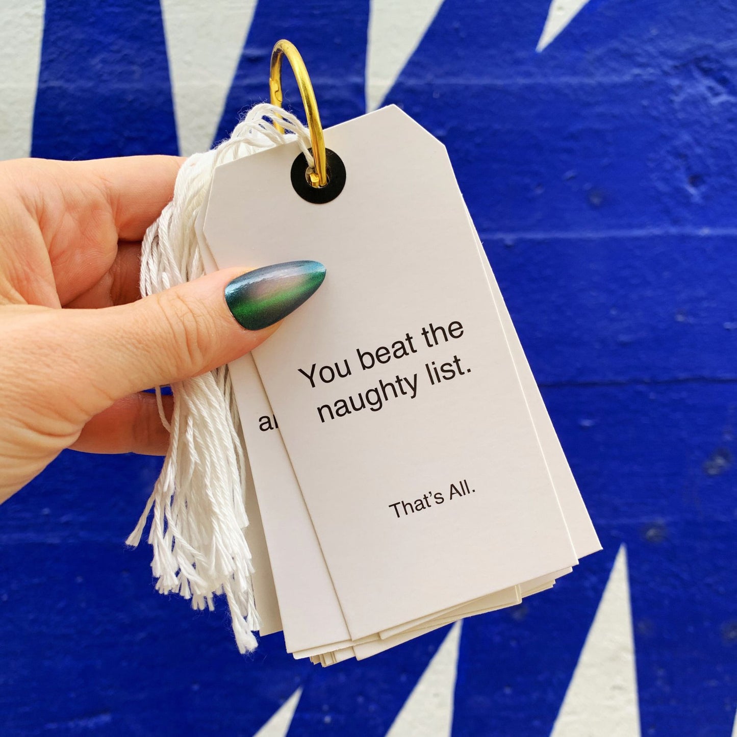 Funny Christmas Gift Tag Book | 24 Hilarious Tags on a Metal Organizing Ring