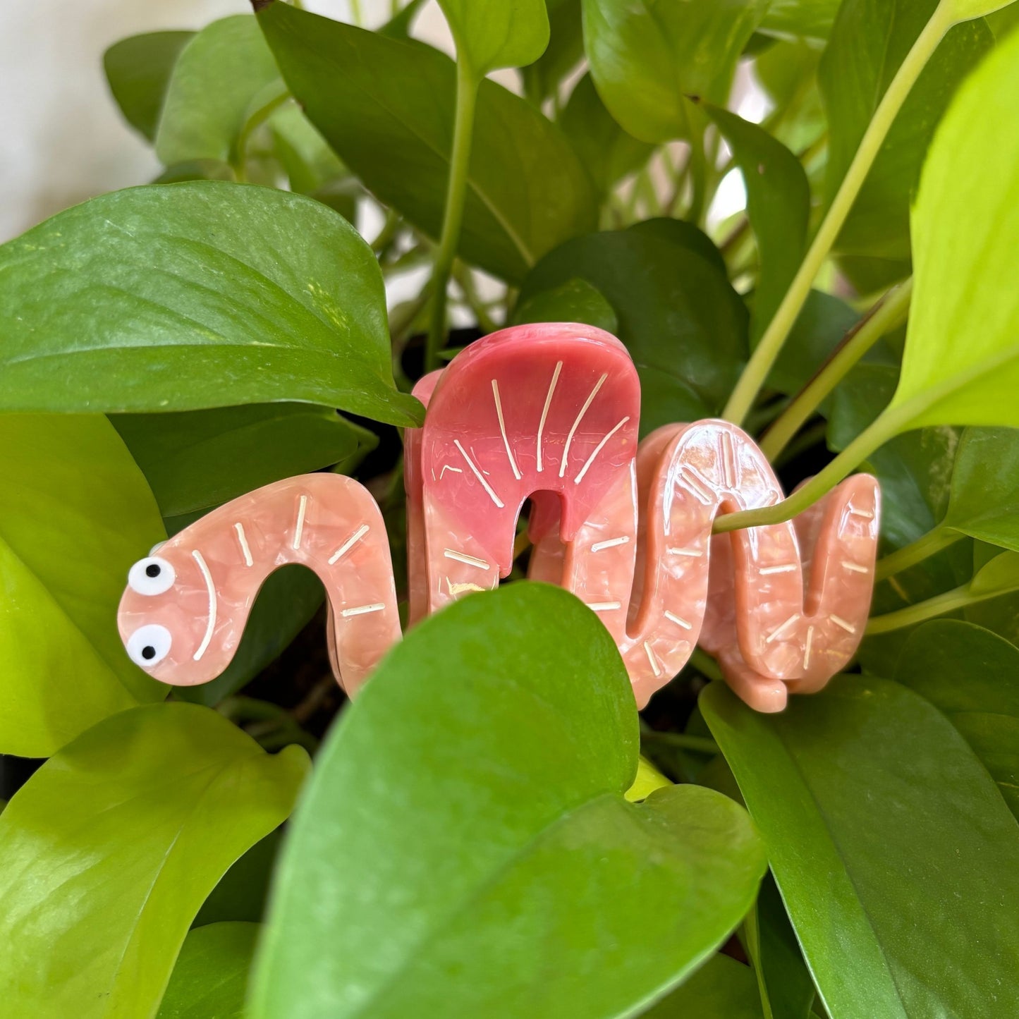 Would You Love Me if I Was a Worm? Hair Claw | Claw Clip in Velvet Travel Bag