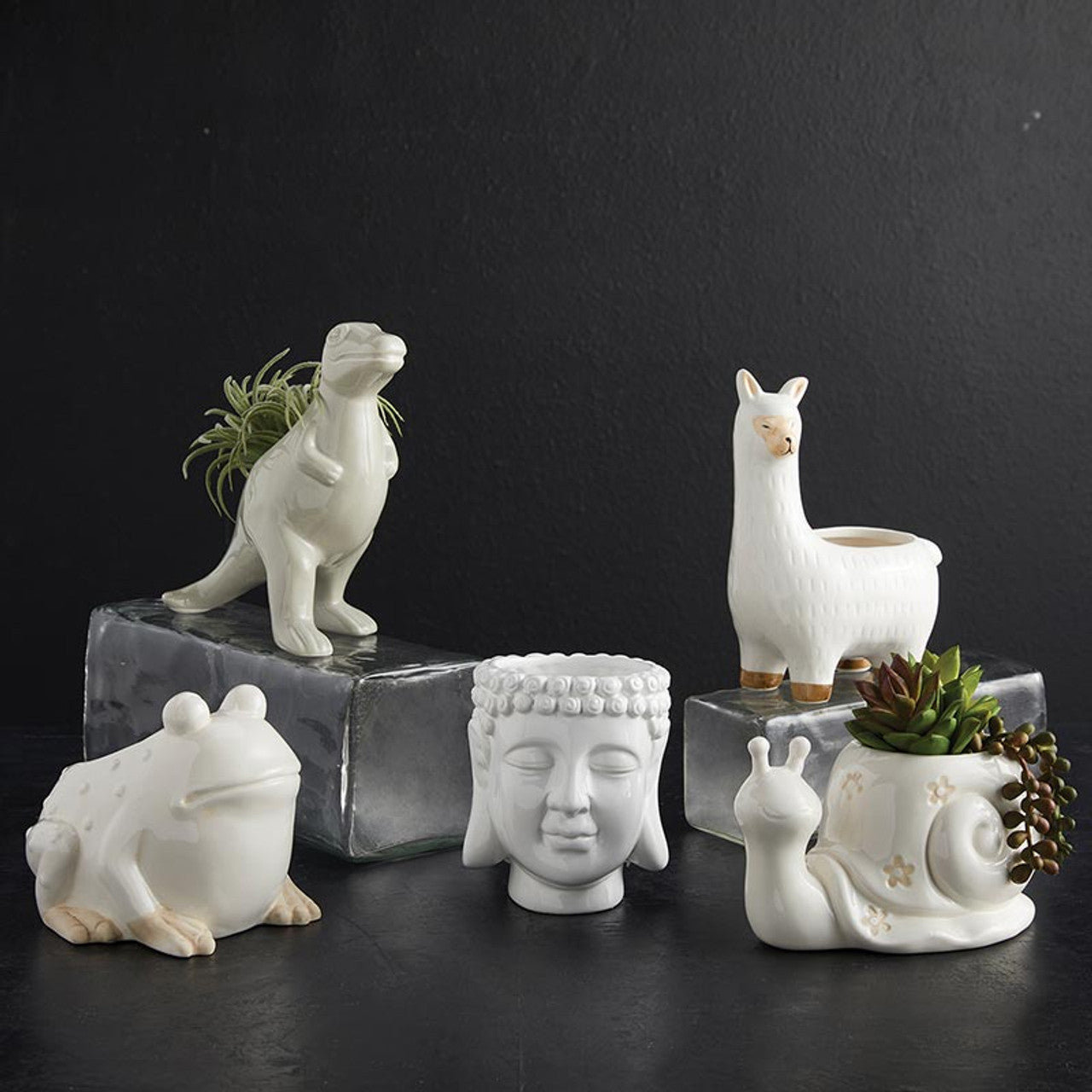 Dinosaur Ceramic Pot Planter in Grey | Decorative Planter Animal Shaped For Succulents and Small Plants