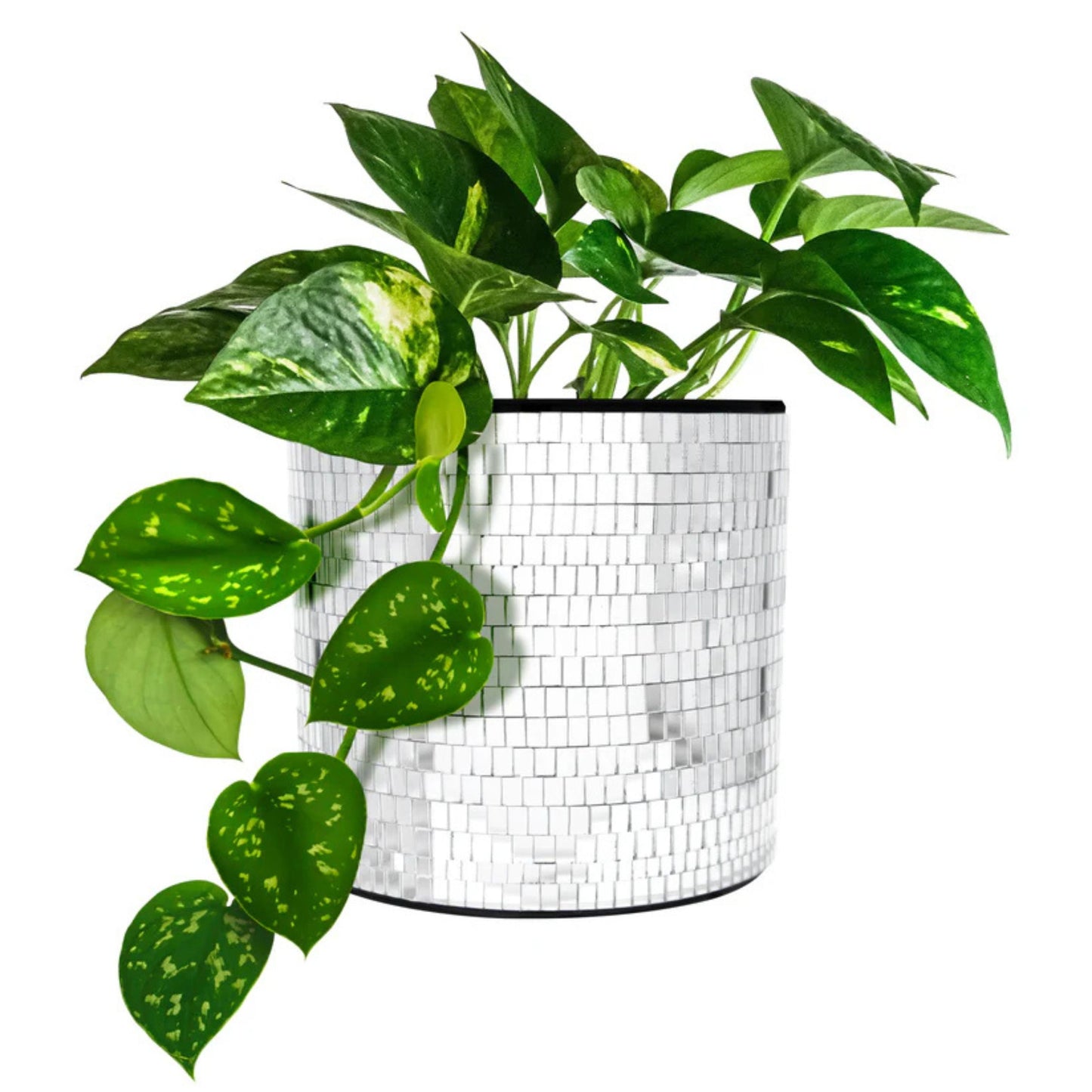 Disco Tabletop Planter | Handmade Mirror Ball Plant Pot for Indoor Plants