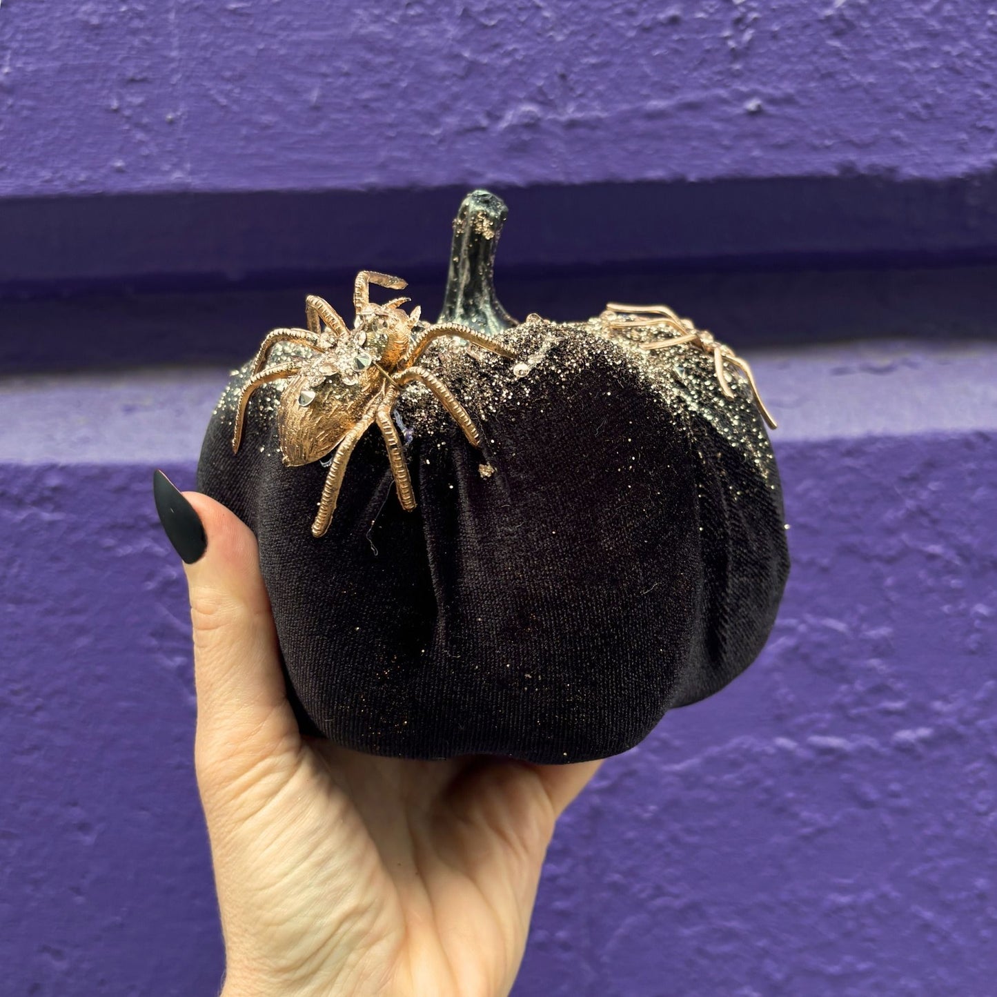 Black decorative pumpkin with a spider on it against a purple wall