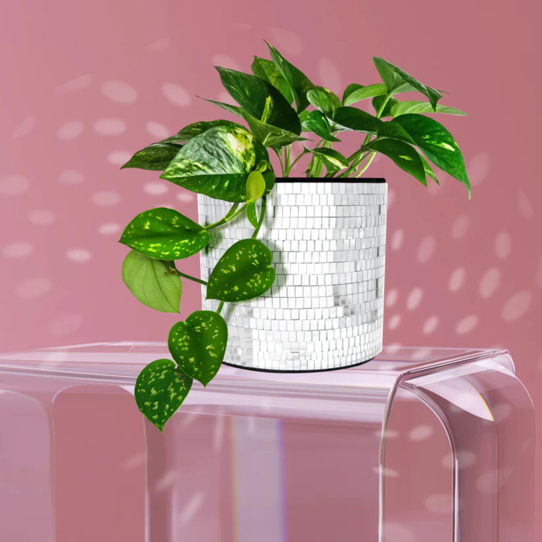 Disco Tabletop Planter | Mirror Ball Plant Pot for Indoor Plants – The ...
