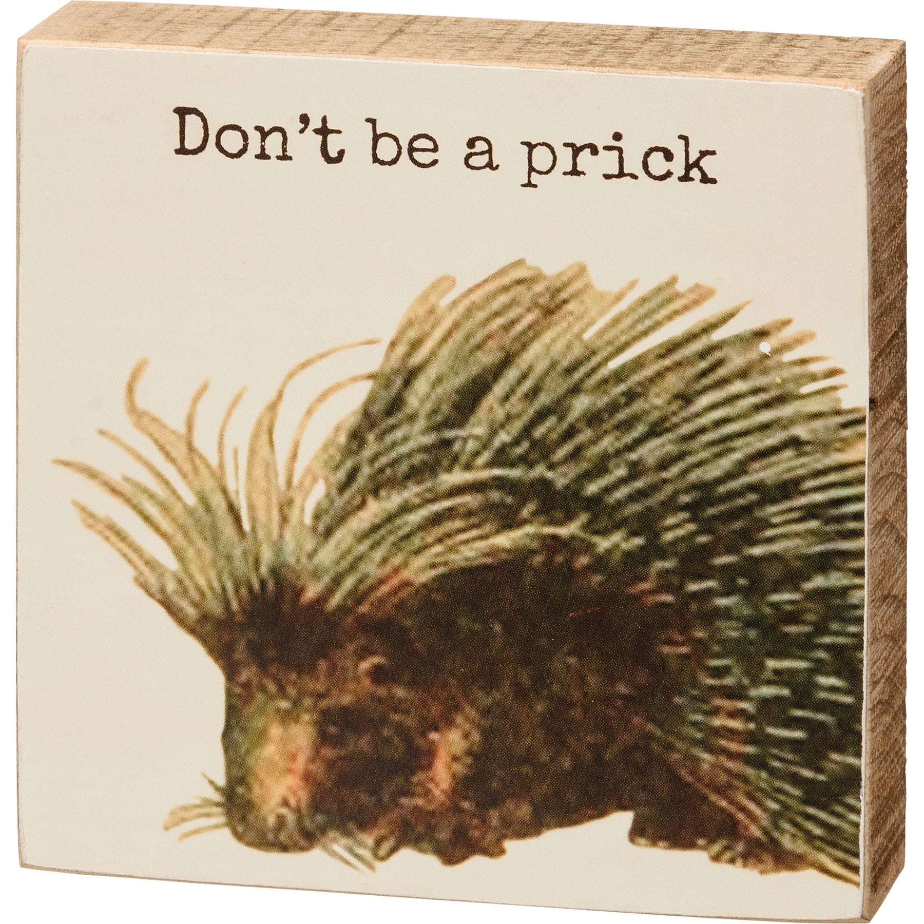 Don't Be A Prick Wooden Block Sign | Porcupine