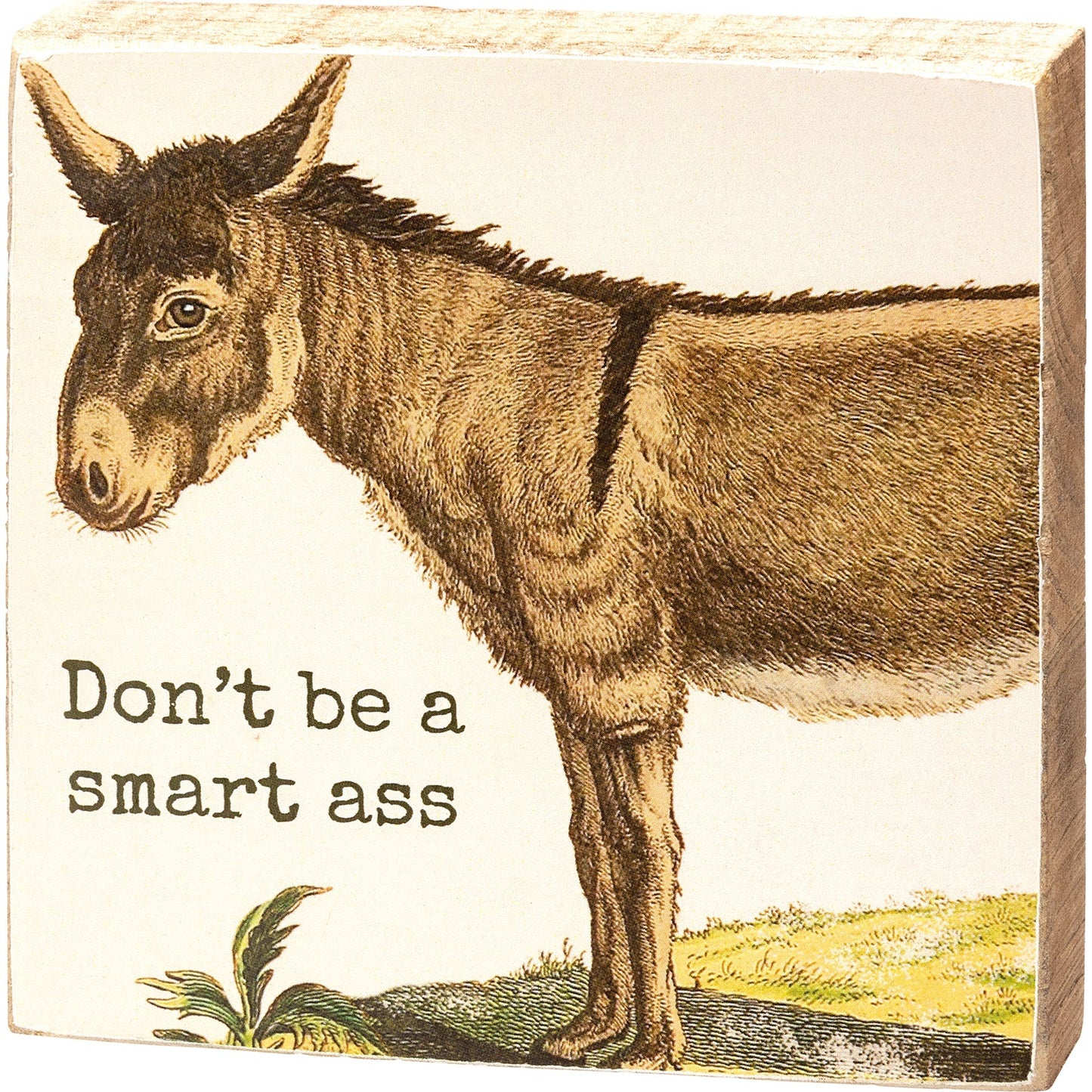 Don't Be A Smart Ass Block Sign | Square Wooden Box Sign | 4" x 4"
