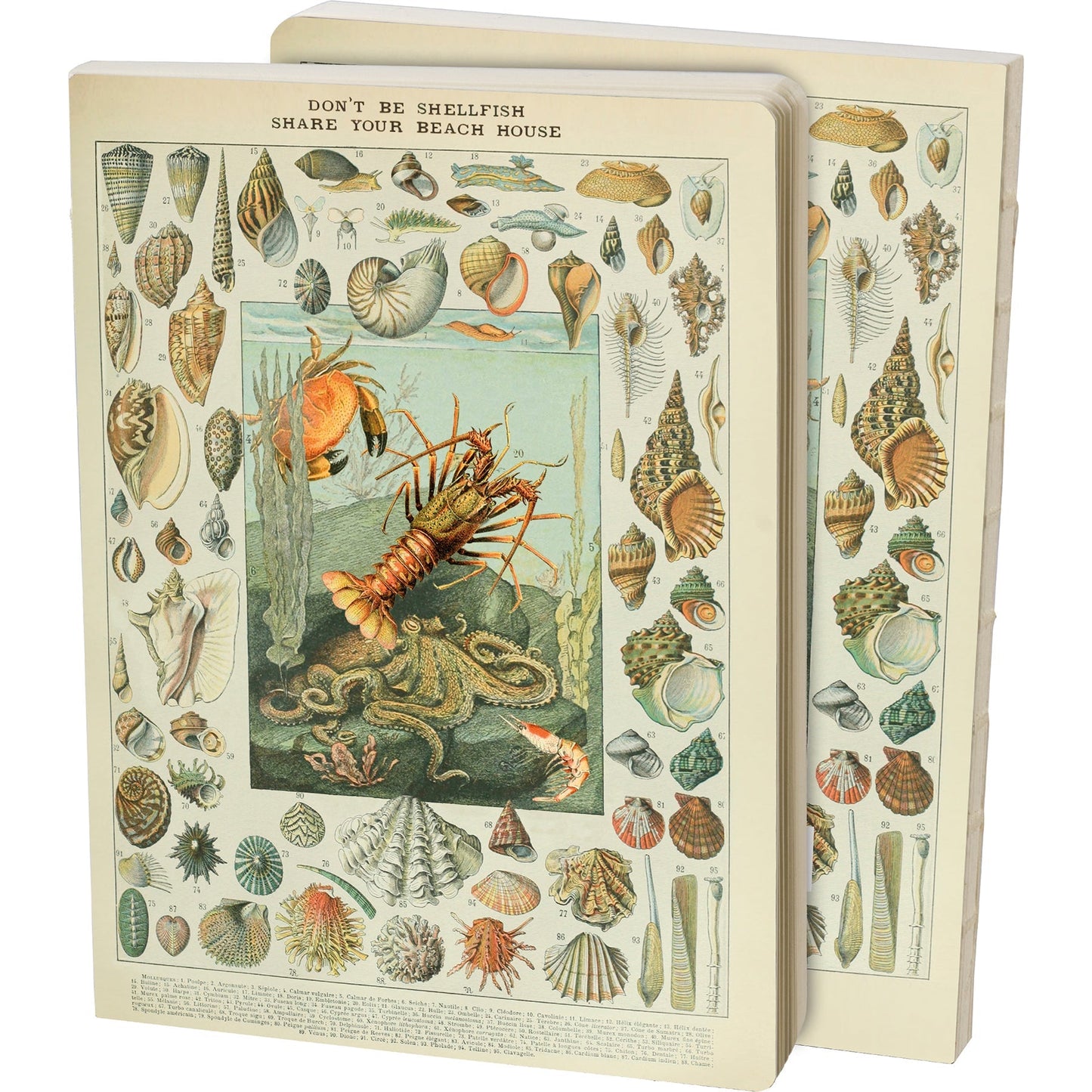 Don't Be Shellfish Double-sided Journal | Sea Creature Designs Notebook | 160 Lined Pages