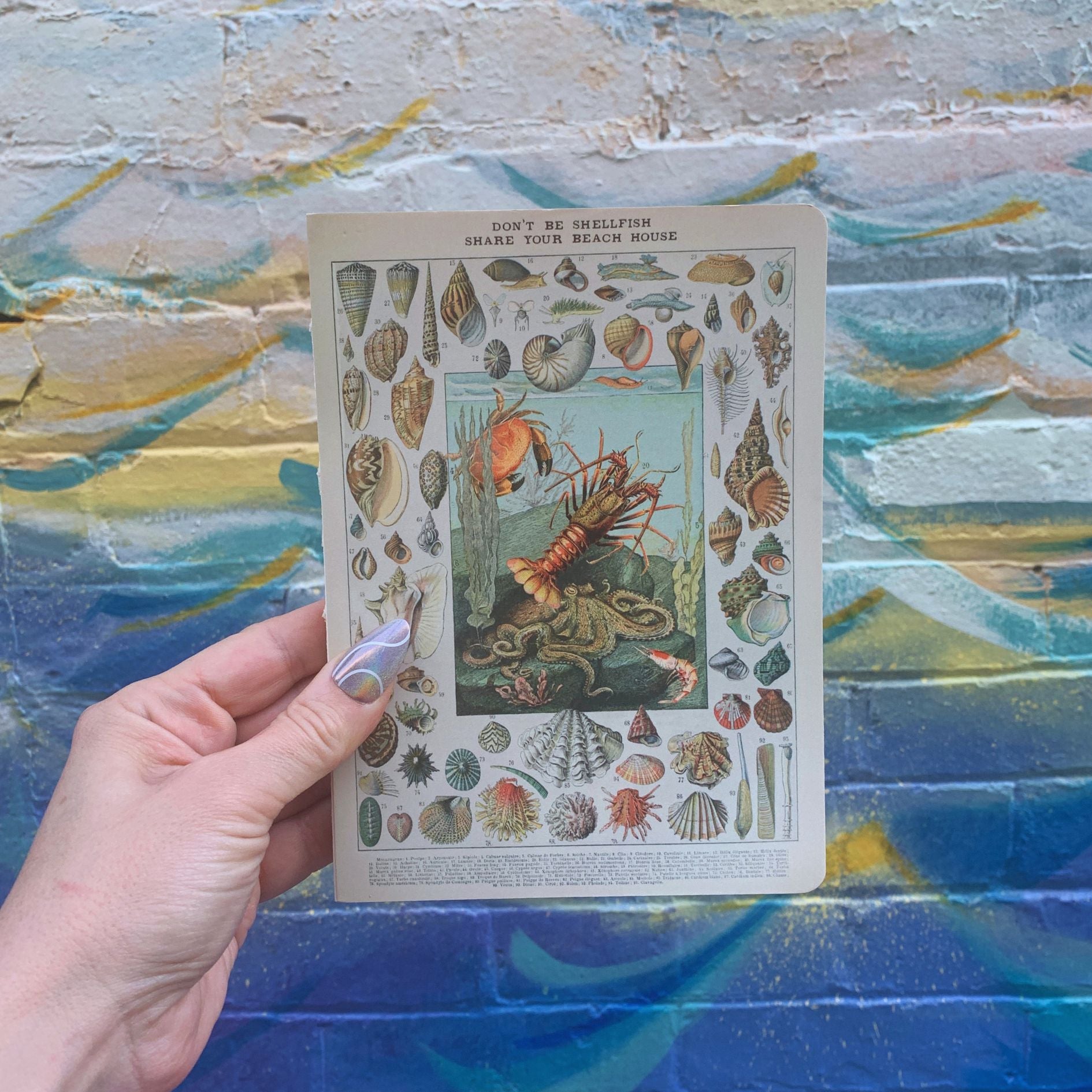 Don't Be Shellfish Double-sided Journal | Sea Creature Designs Notebook | 160 Lined Pages