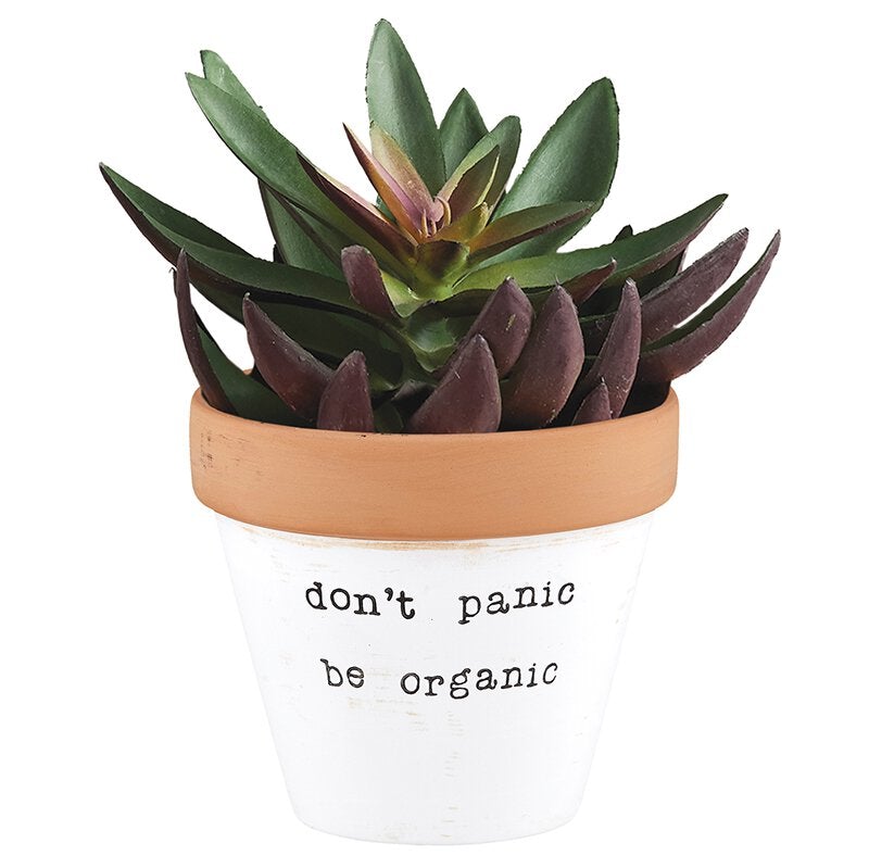 Don't Panic Be Organic Clay Pot Planter