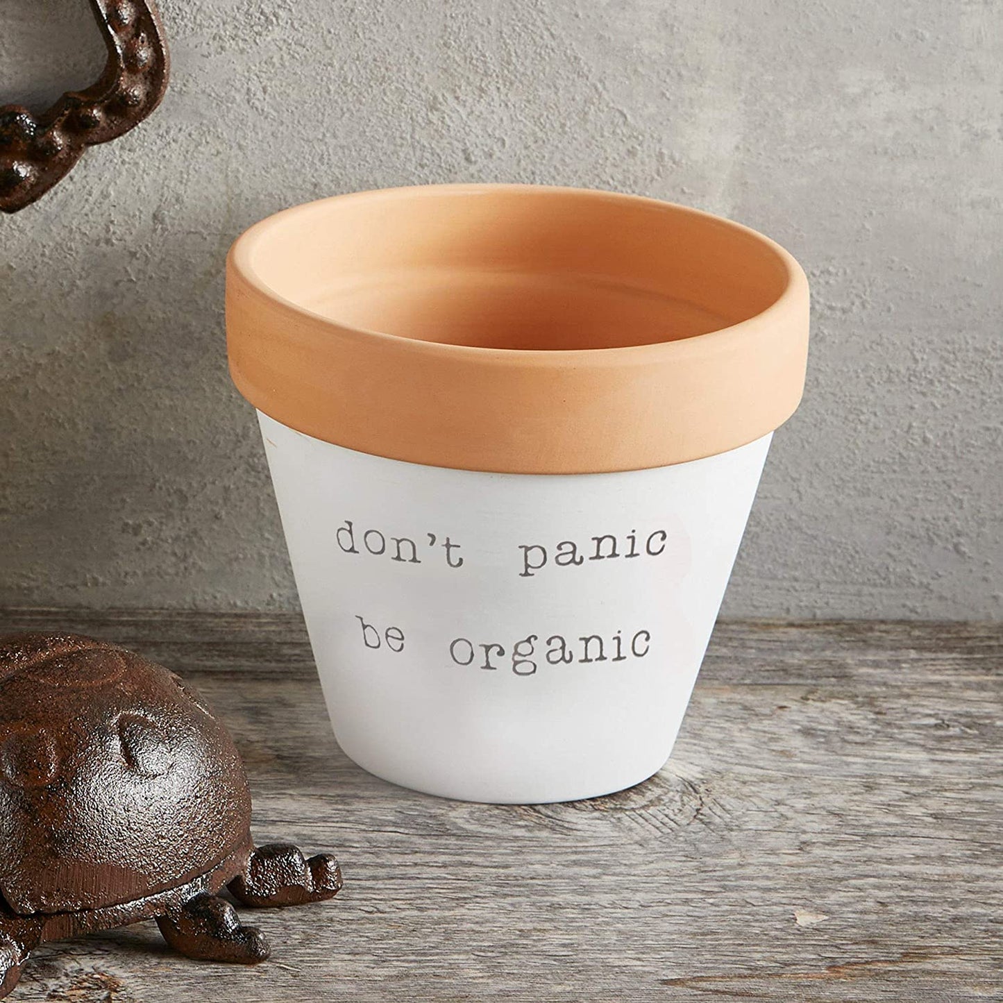 Don't Panic Be Organic Clay Pot Planter