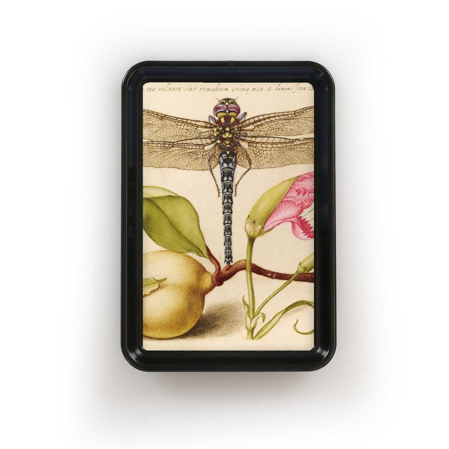 Dragonfly Insect Decorative Tray | Classic Nature Art Catchall