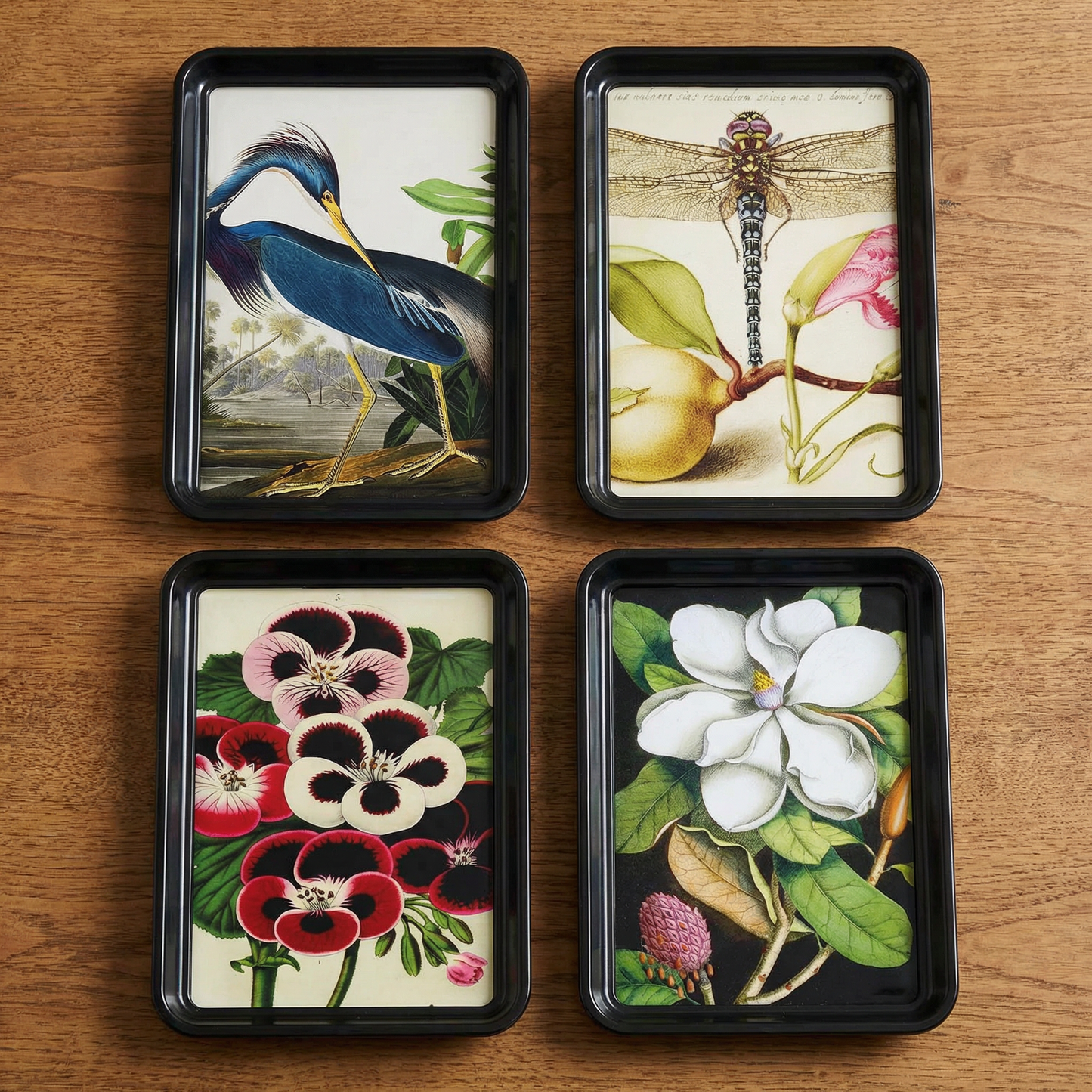 Louisiana Heron Audubon Decorative Tray | Classic Bird Art Catchall