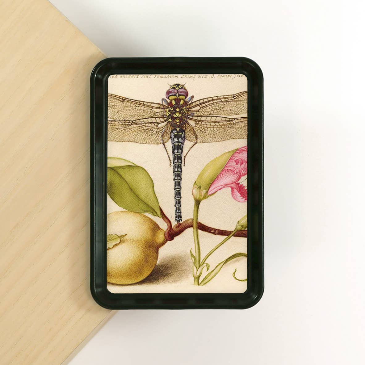 Dragonfly Insect Decorative Tray | Classic Nature Art Catchall
