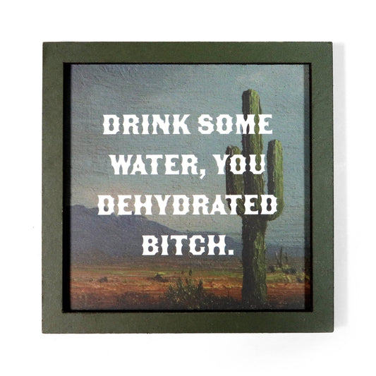 Framed artwork magnet with a cactus and desert landscape, featuring text 'Drink some water, you dehydrated bitch.'