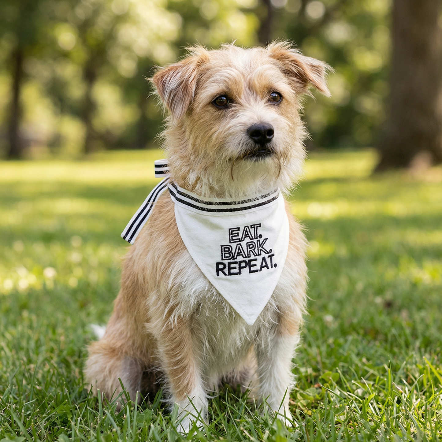 Eat Bark Repeat Pet Bandana in White | Cotton Animal Pet Accessory | 9" x 6"