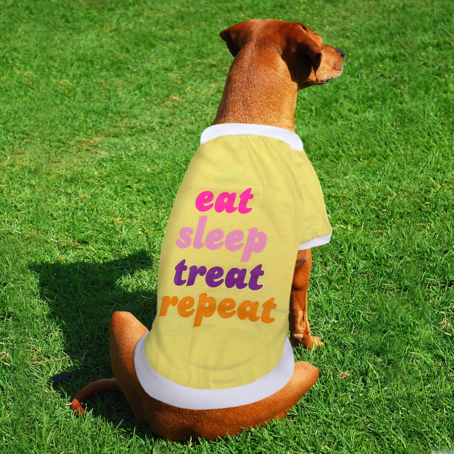 Eat Sleep Treat Repeat LaurDIY Pet Tee in Yellow [Available in SM-L]