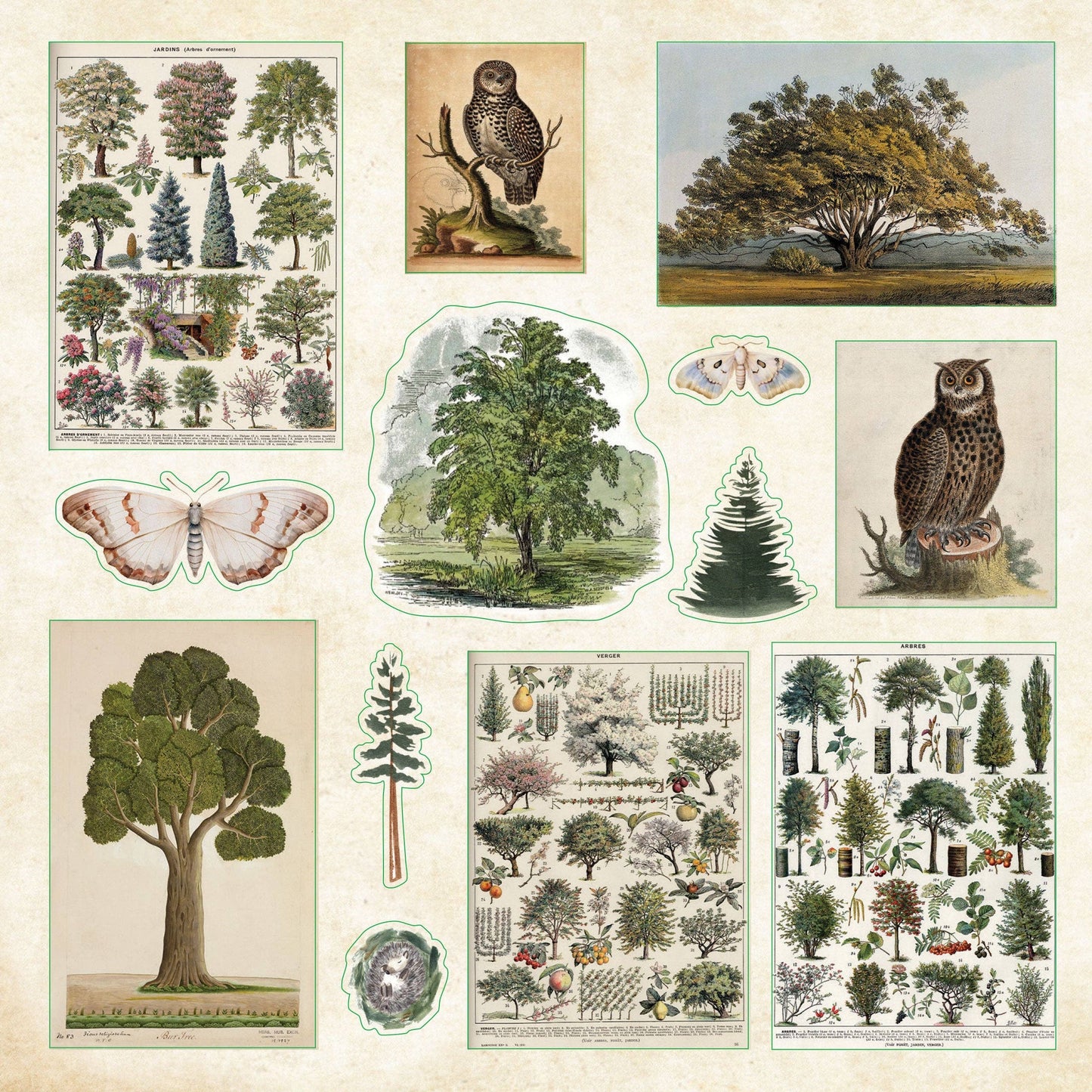 Enchanted Forest Sticker Book | 800+ Woodland-themed Stickers on 50 Pages for Journals, Planners & Scrapbooking