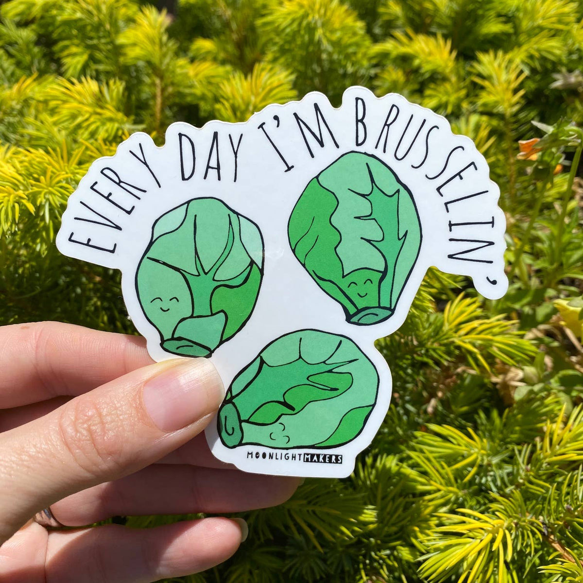 Every Day I'm Brusselin' Vinyl Sticker