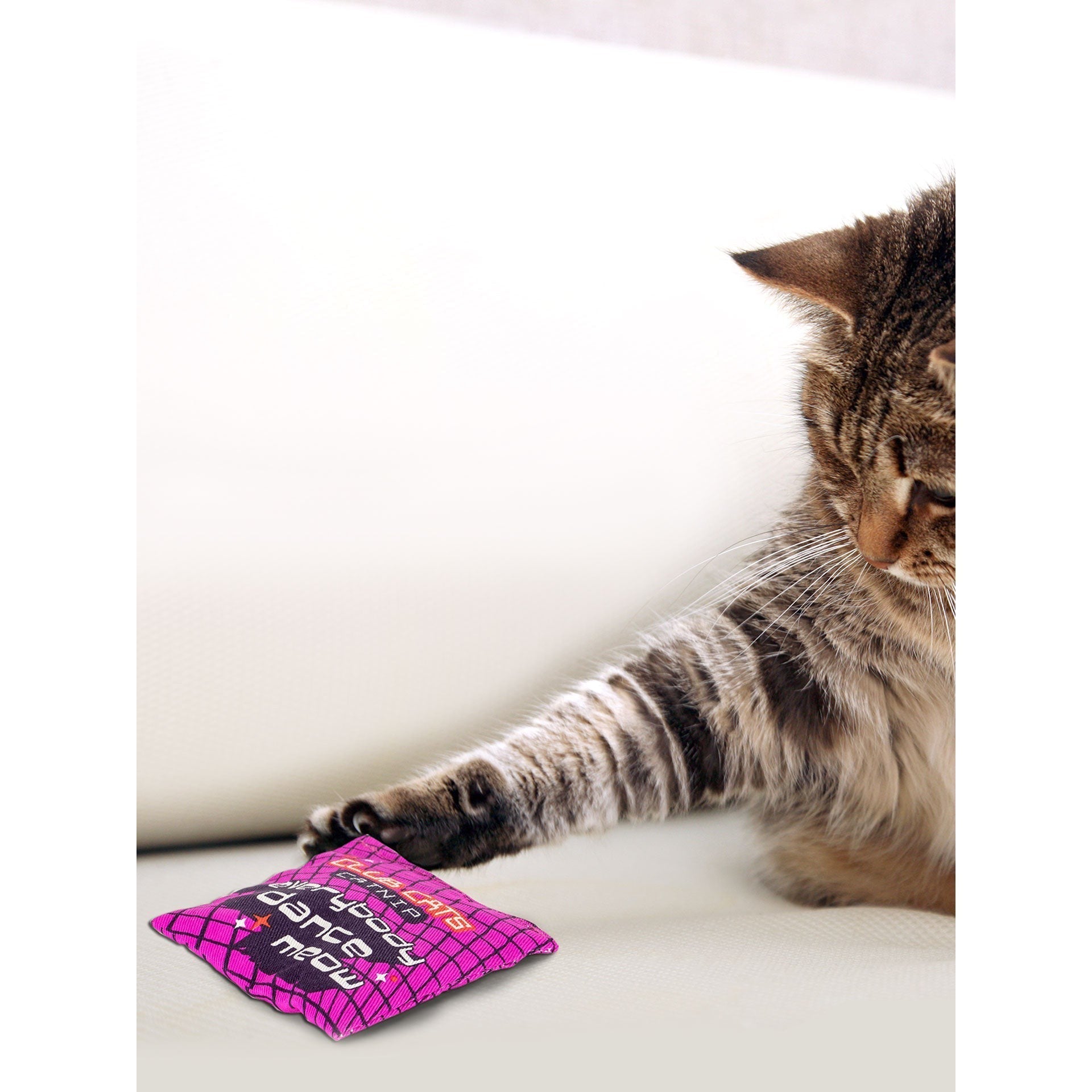 Everybody Dance Meow Club Cats Catnip Toy | Premium Organic Catnip in Illustrated Cotton Pouch | BlueQ at GetBullish