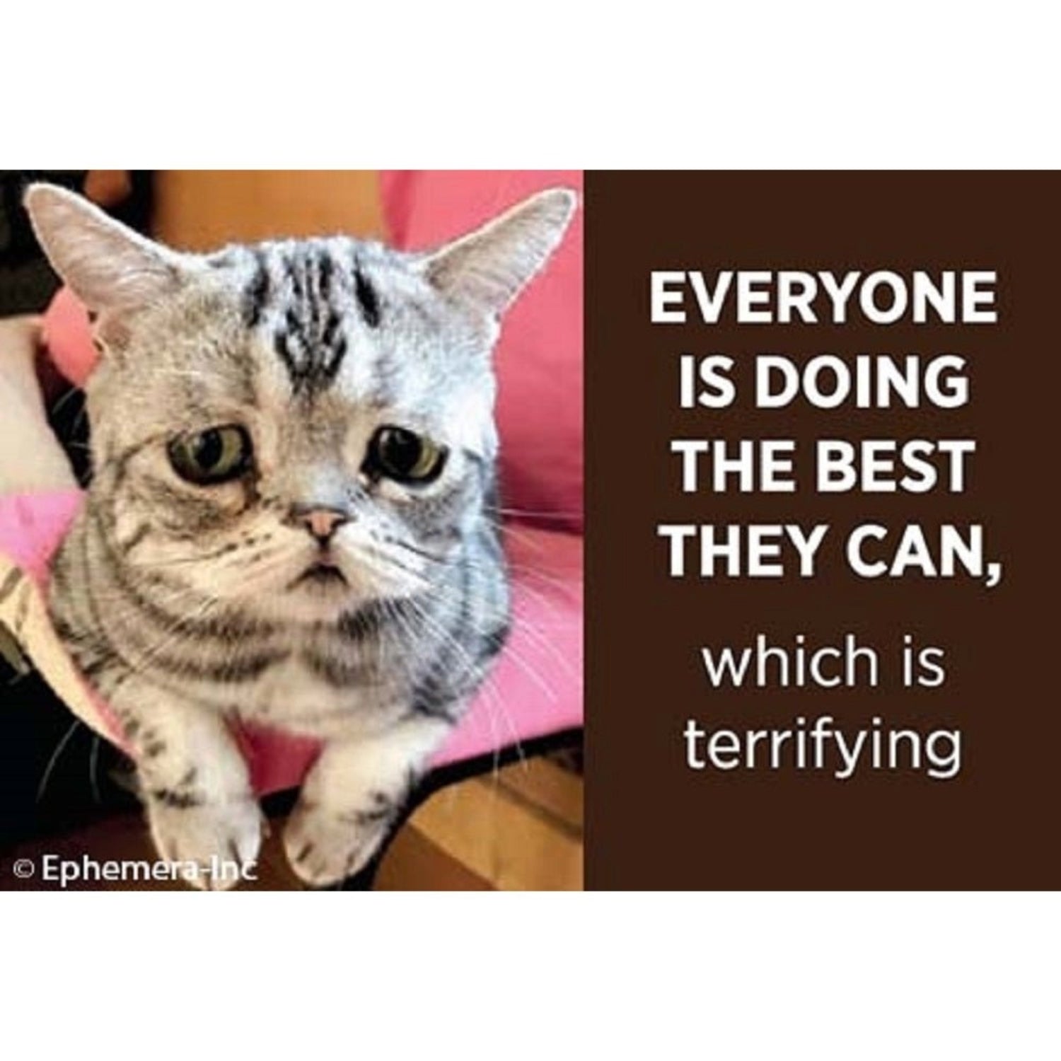 Everyone Is Doing The Best They Can, Which Is Terrifying Magnet-Ephemera-The Bullish Store