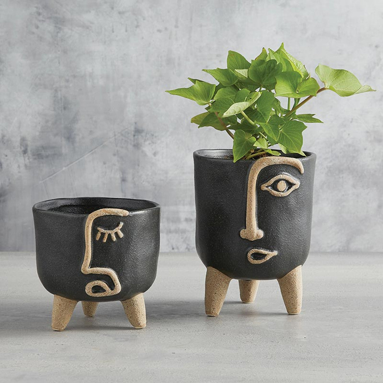 Face Planter Ceramic Pot Planter for Flowering Plants or Succulents | 5" Dia x 6" H