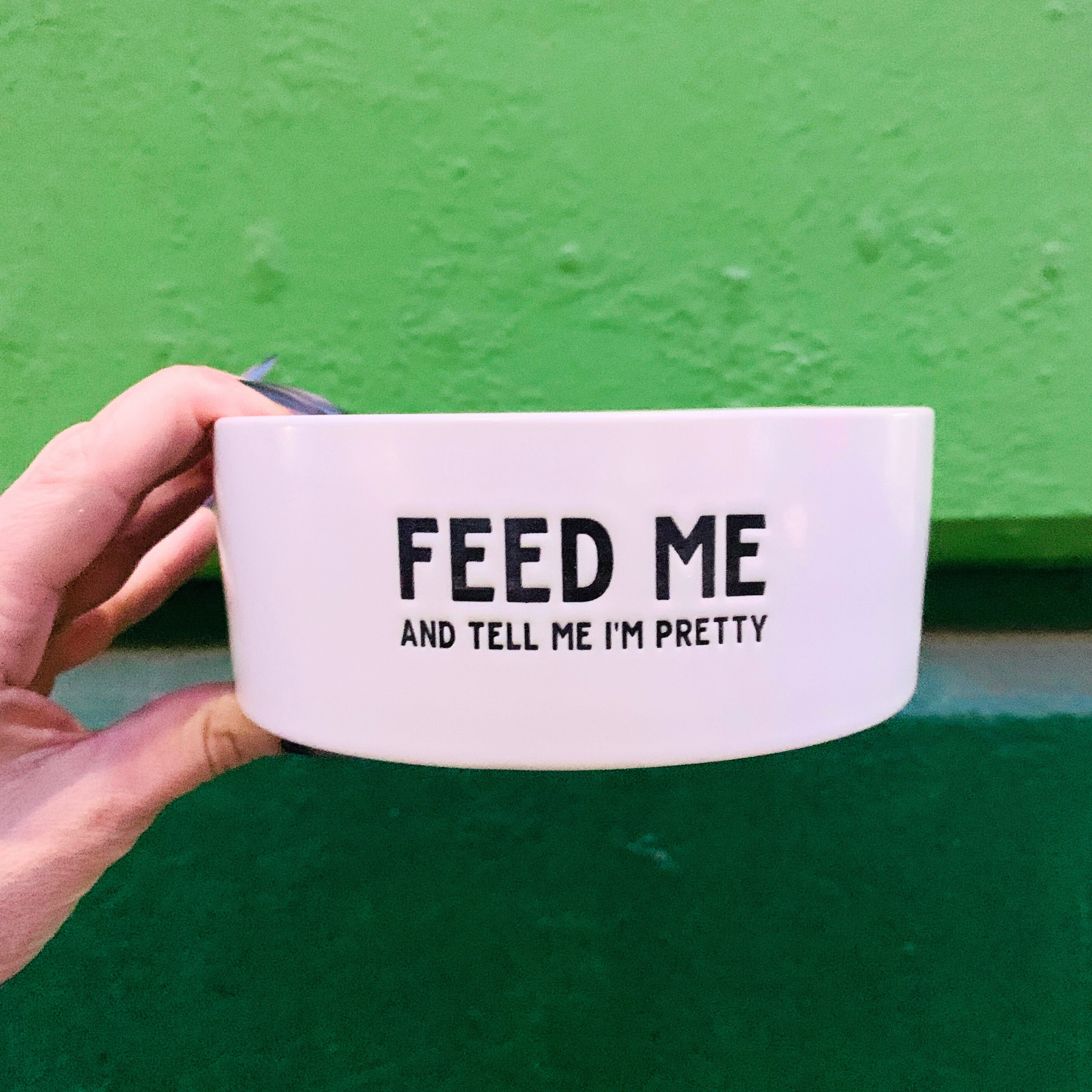 Feed Me And Tell Me I'm Pretty Pet Bowl in White | Circular Pet Water Food Dish Feeder