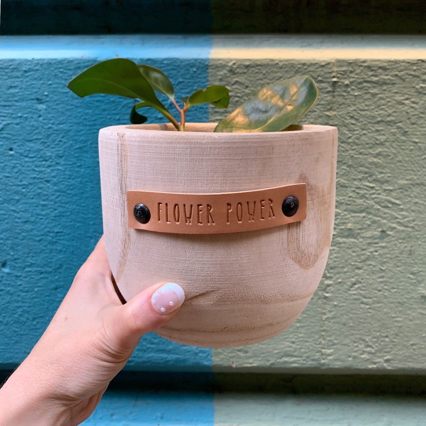 Flower Power Paulownia Wood Planter | 5" Tall