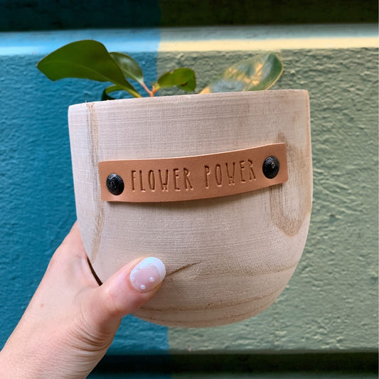 Flower Power Paulownia Wood Planter | 5" Tall