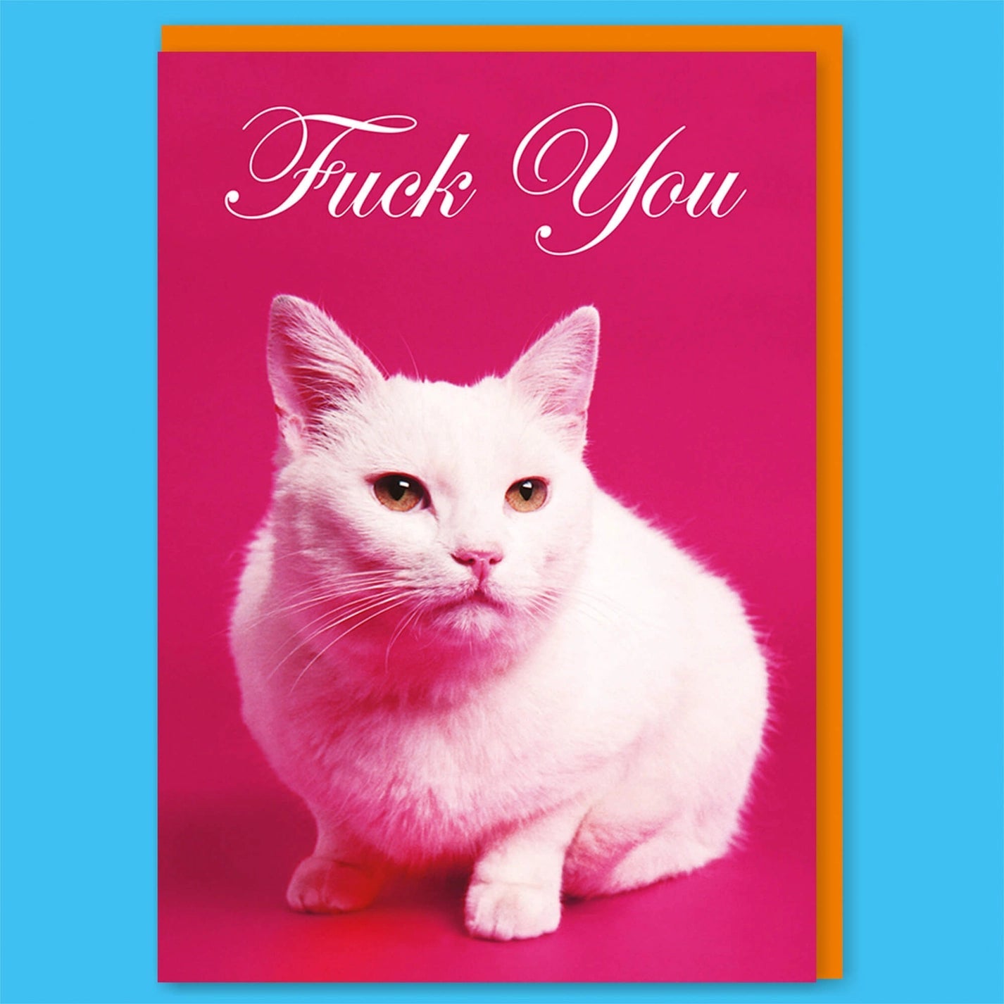Fuck You Greeting Card w/ Cute Cat Design