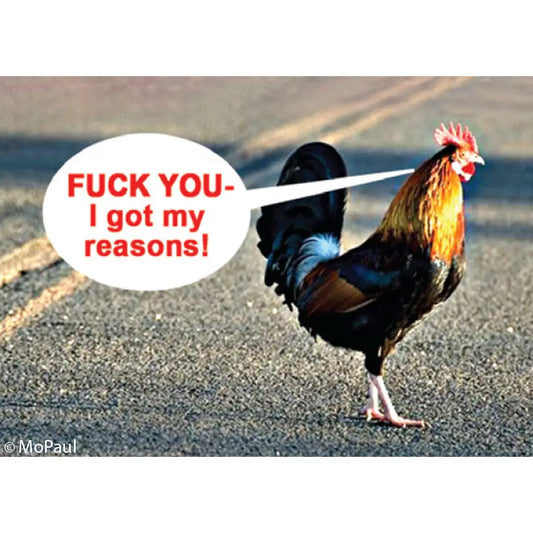 Fuck You - I Got My Reasons Chicken Magnet | 2" x 3"