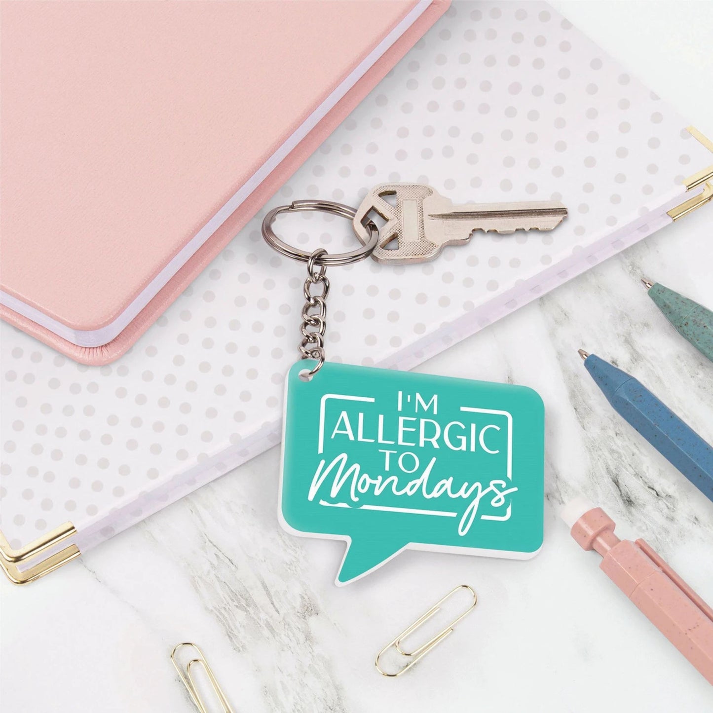 Funny Acrylic Keychains | Witty & Relatable Designs