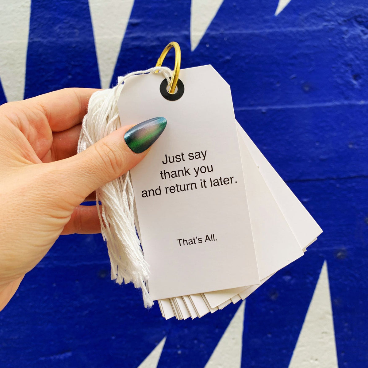 Funny Christmas Gift Tag Book | 24 Hilarious Tags on a Metal Organizing Ring