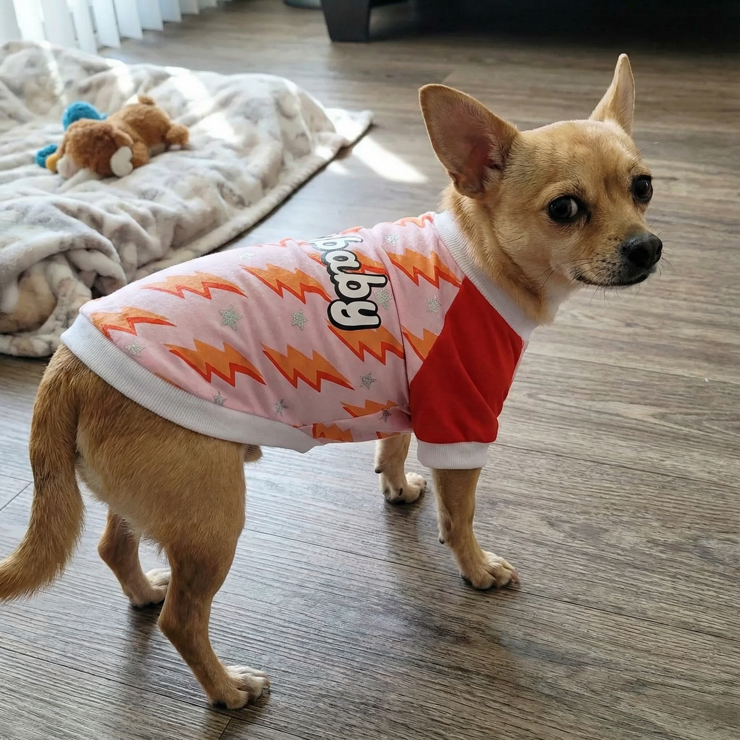 Fur Baby 2.0 LaurDIY Pet Tee in Pink [Available in SM-L]