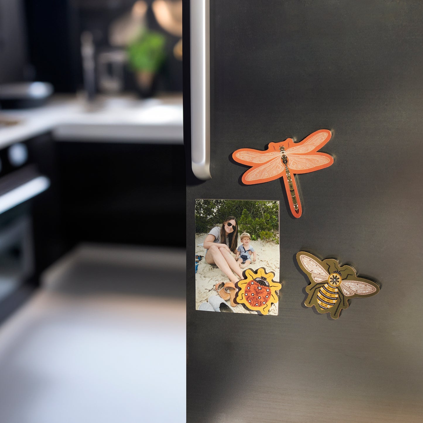 Decorative magnets on a refrigerator with a kitchen background
