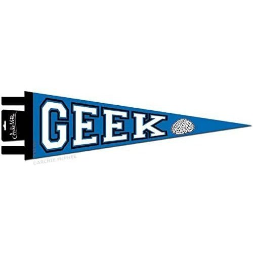 Geek Pennant Party Banner in Blue | 20" Felt Pennant