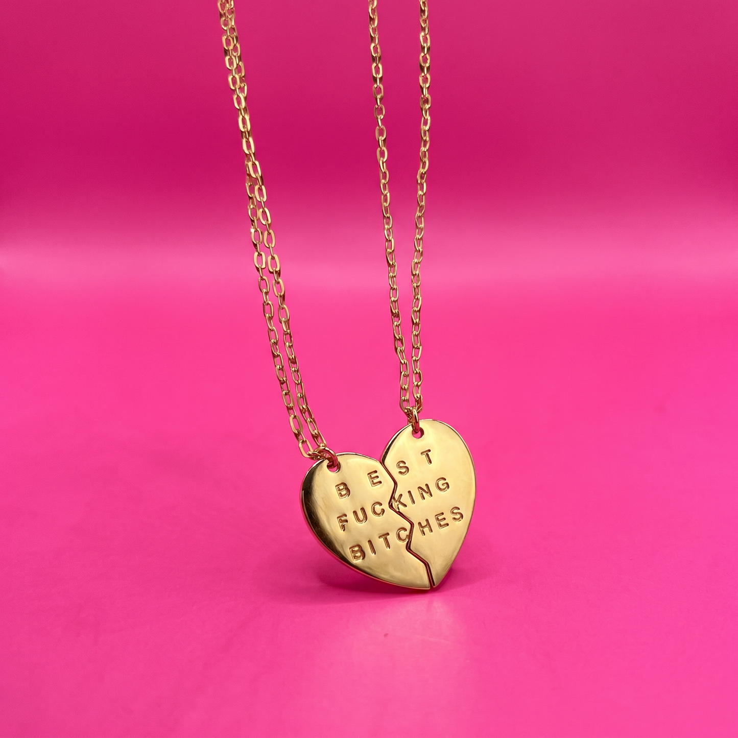 Best Fucking Bitches Set of 2 Best Friends Necklaces in Silver or Gold