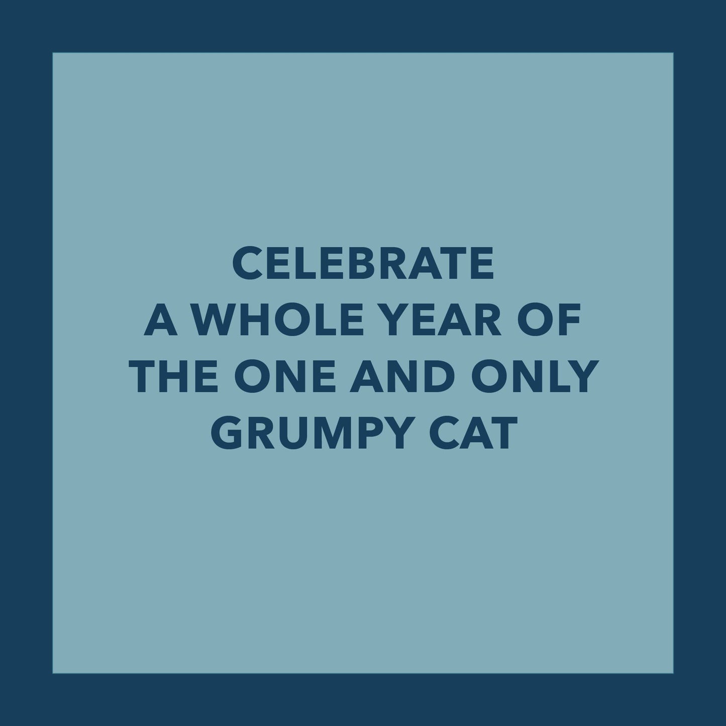 Grumpy Cat 2026 Wall Calendar | Adorable Cats Calendar Poster | 12'' x 12''