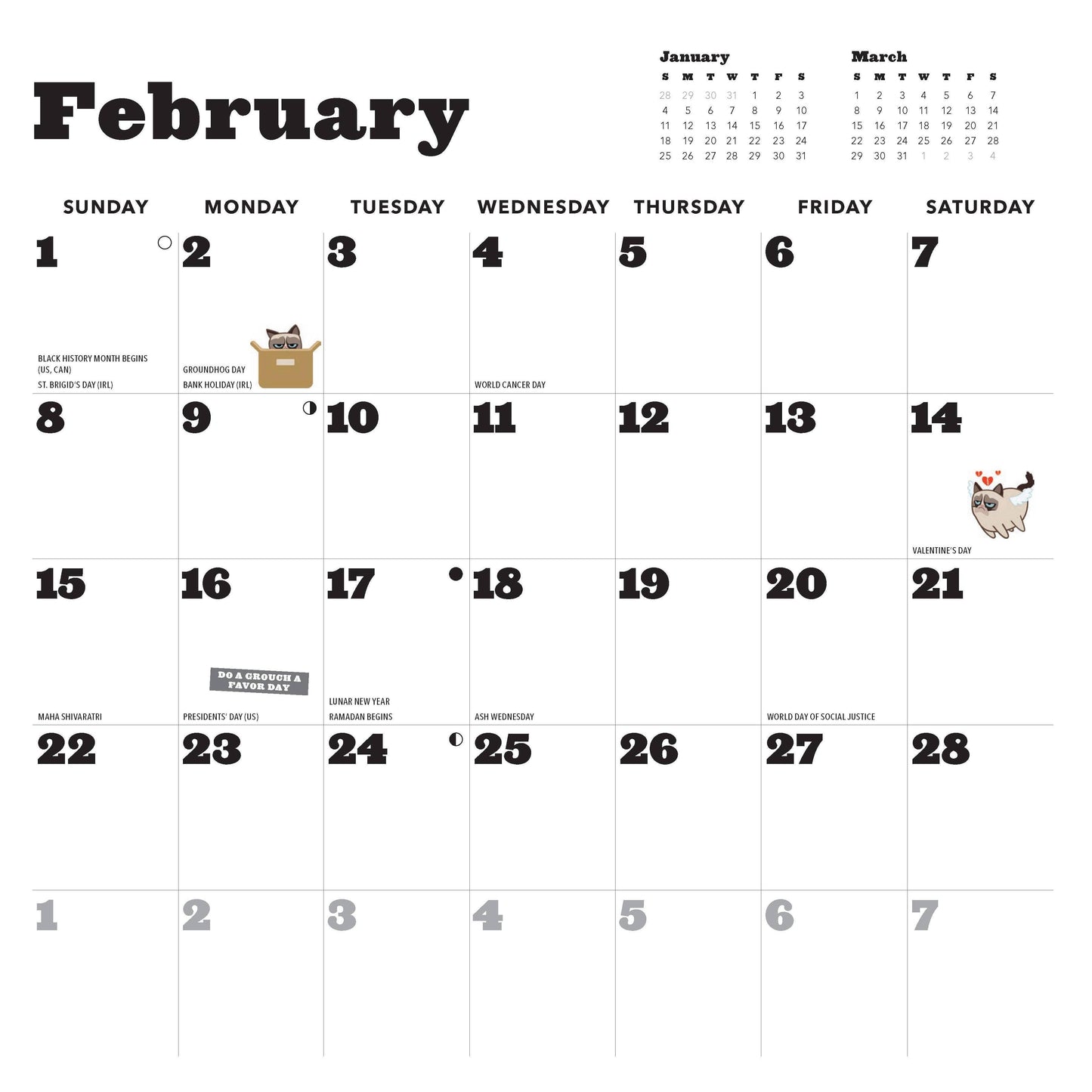 Grumpy Cat 2026 Wall Calendar | Adorable Cats Calendar Poster | 12'' x 12''