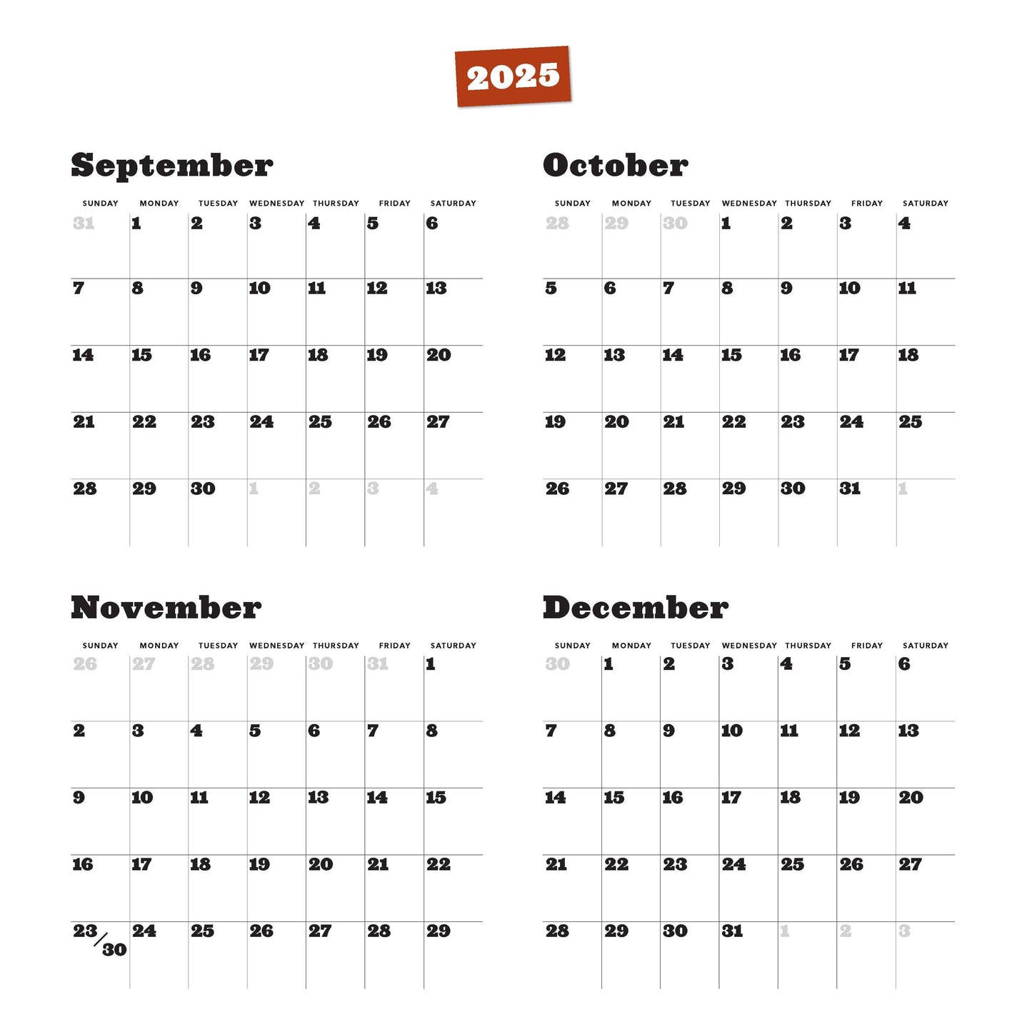 Grumpy Cat 2026 Wall Calendar | Adorable Cats Calendar Poster | 12'' x 12''