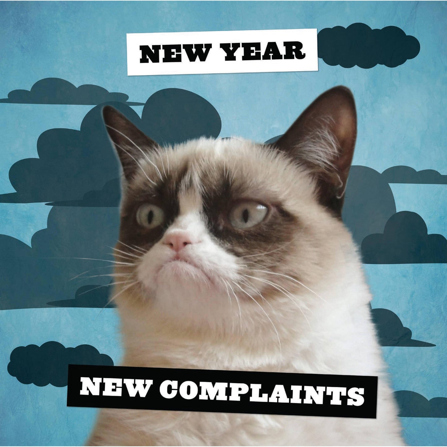 Grumpy Cat 2026 Wall Calendar | Adorable Cats Calendar Poster | 12'' x 12''