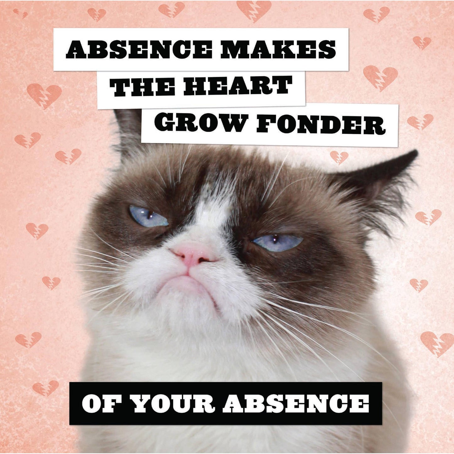 Grumpy Cat 2026 Wall Calendar | Adorable Cats Calendar Poster | 12'' x 12''