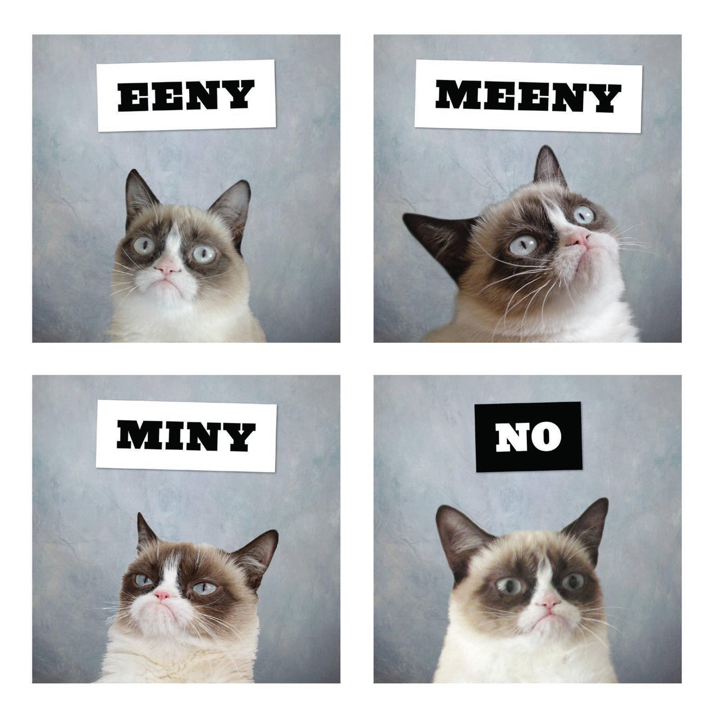 Grumpy Cat 2026 Wall Calendar | Adorable Cats Calendar Poster | 12'' x 12''